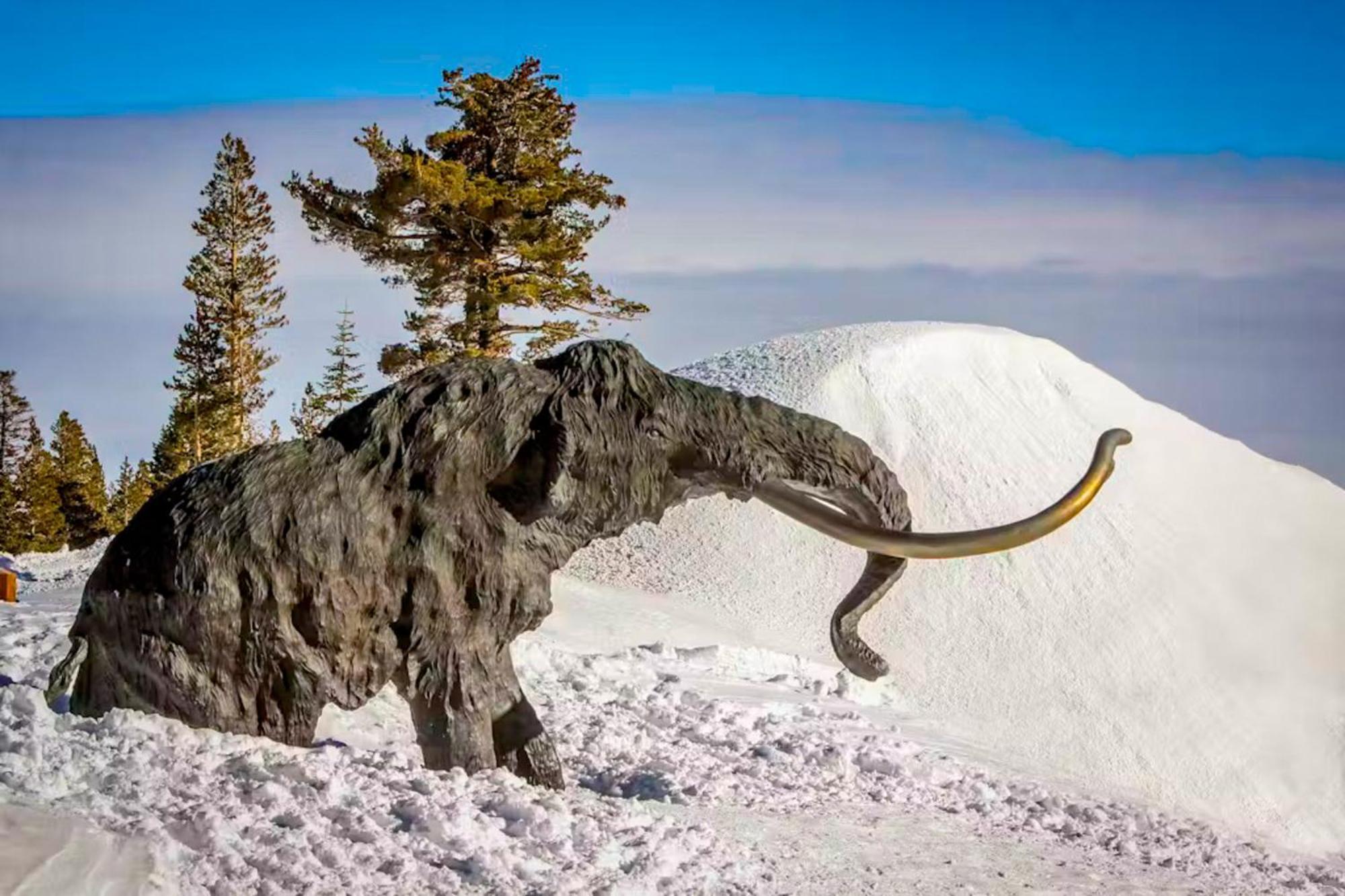 Chamonix 20 Mammoth Lakes